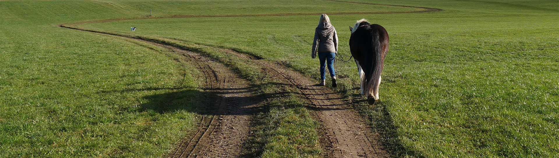 jeder geht seinen Weg mobile Pferdewaage Bayern