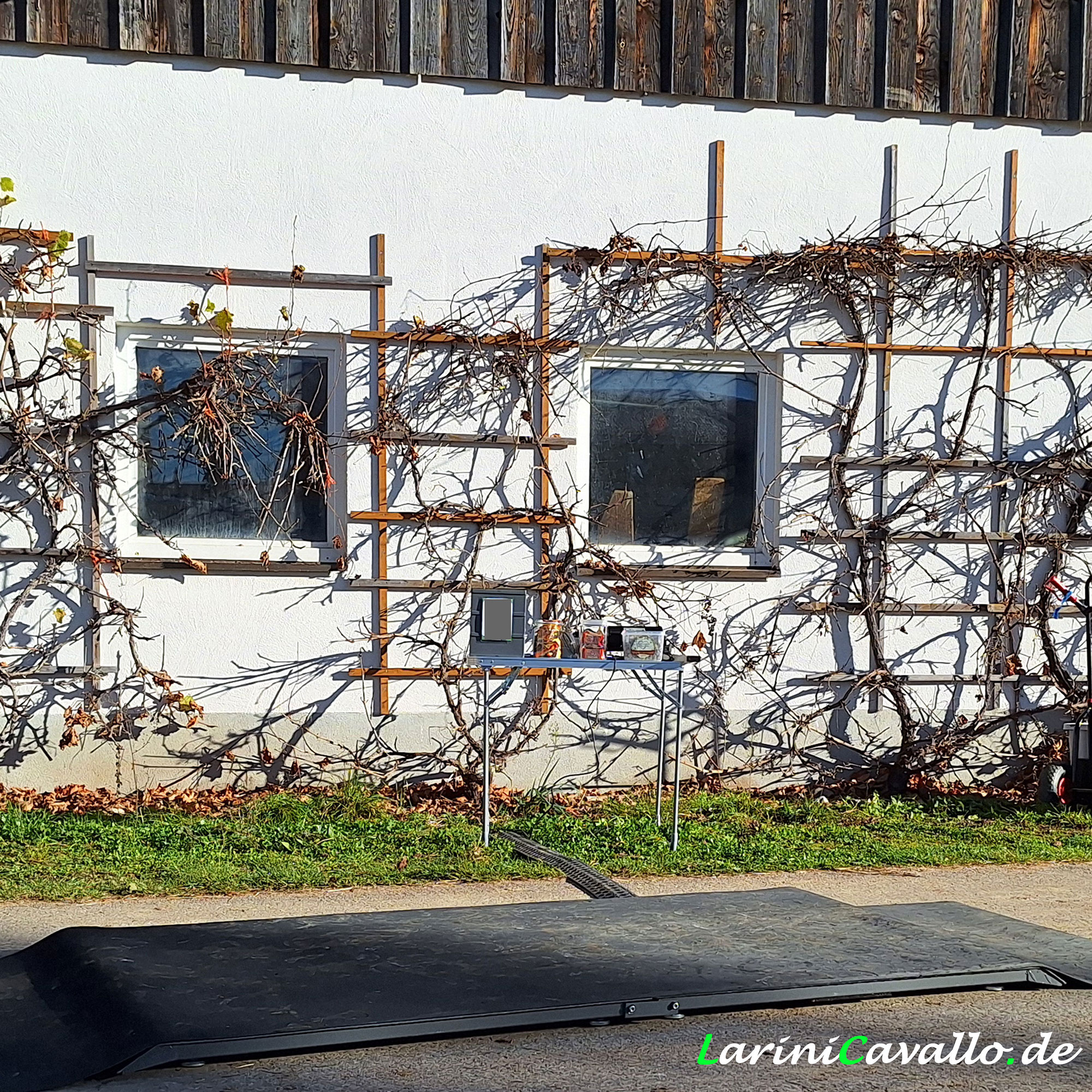 mobile Pferdewaage LariniCavallo